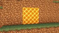Honeycomb blocks (Image via Mojang)